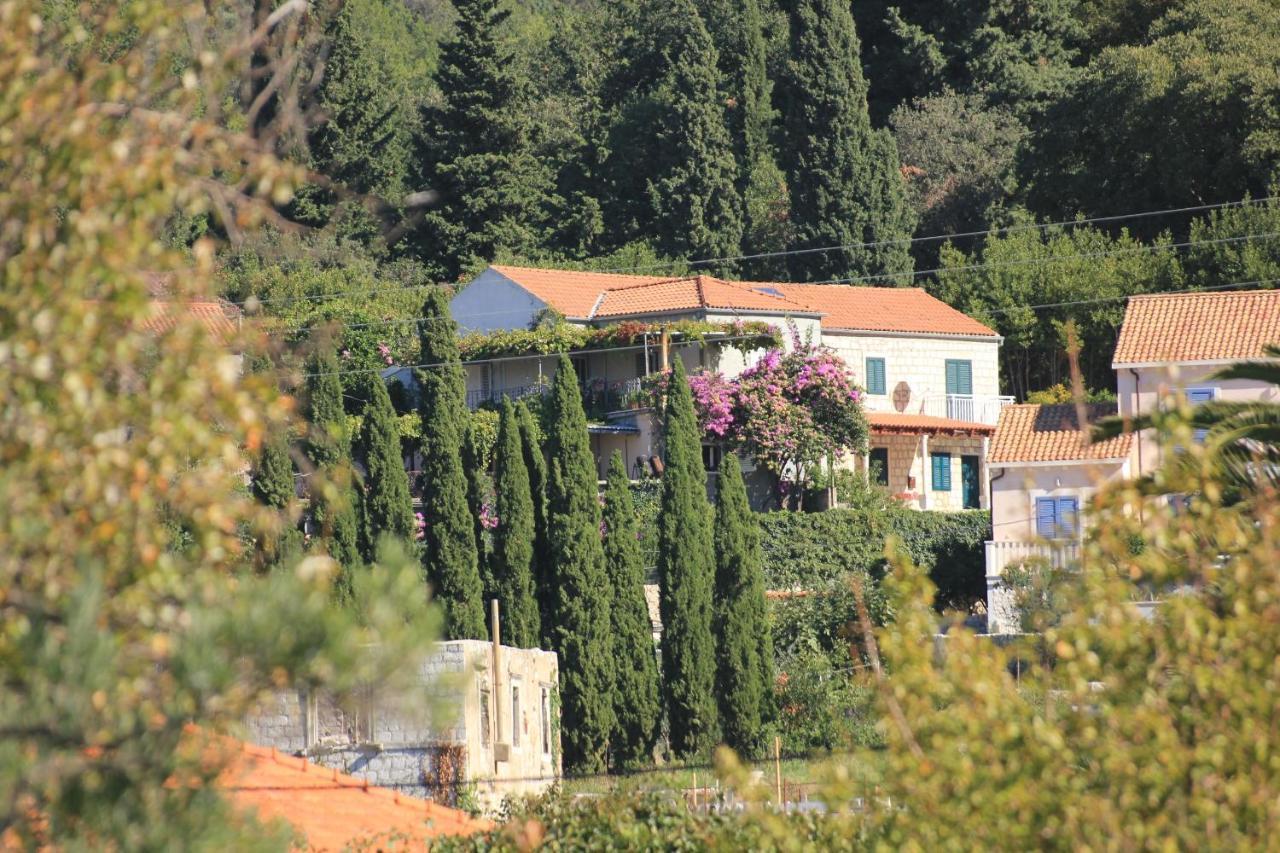 Apartments With A Parking Space Slano, Dubrovnik - 8540 Kültér fotó