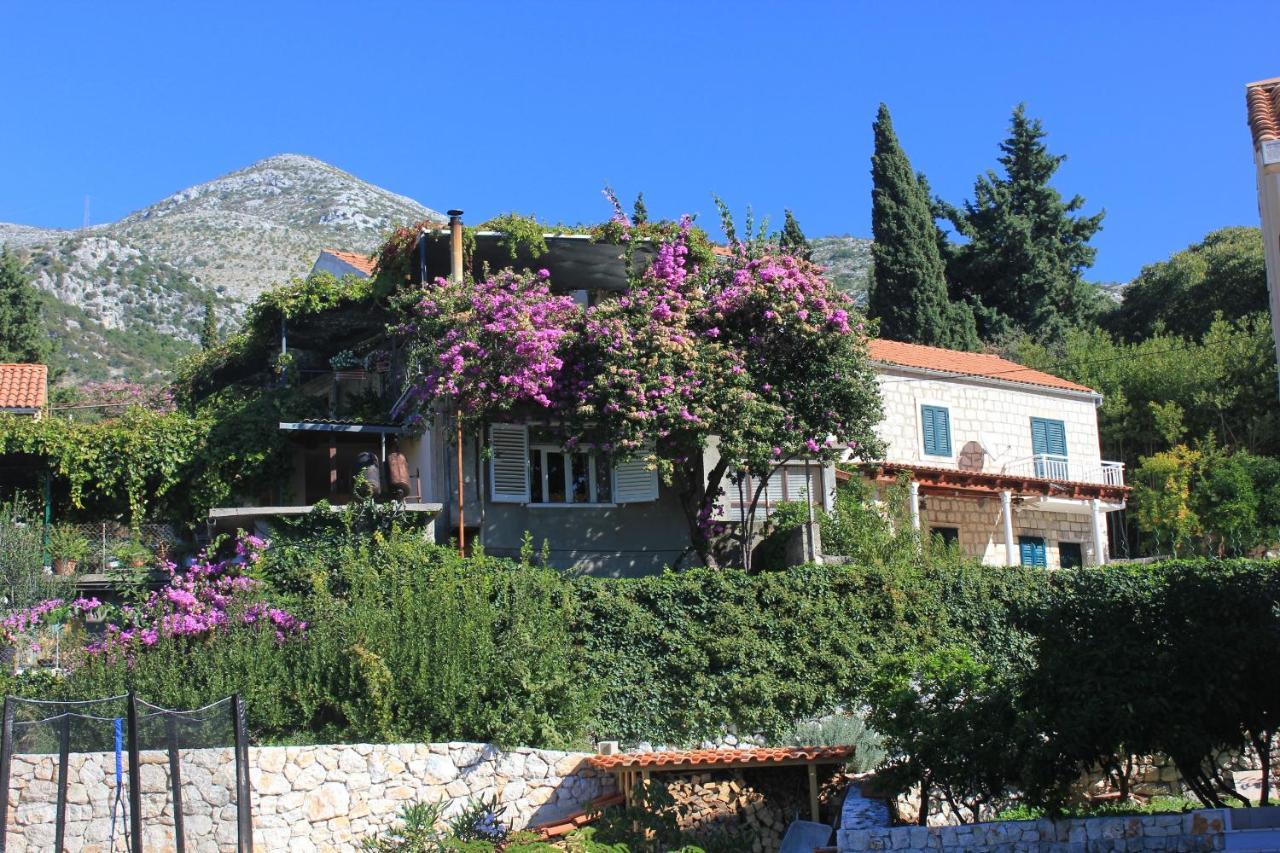 Apartments With A Parking Space Slano, Dubrovnik - 8540 Kültér fotó